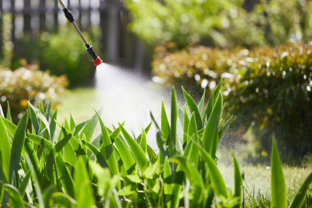 24/7 Emergency Ant Control experts in Glasgow, MO